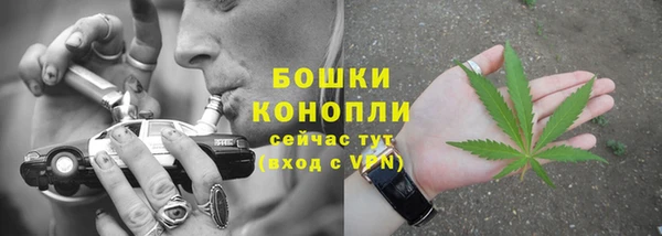 2c-b Тайга