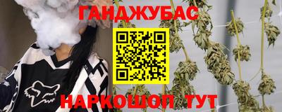 СК Волгодонск