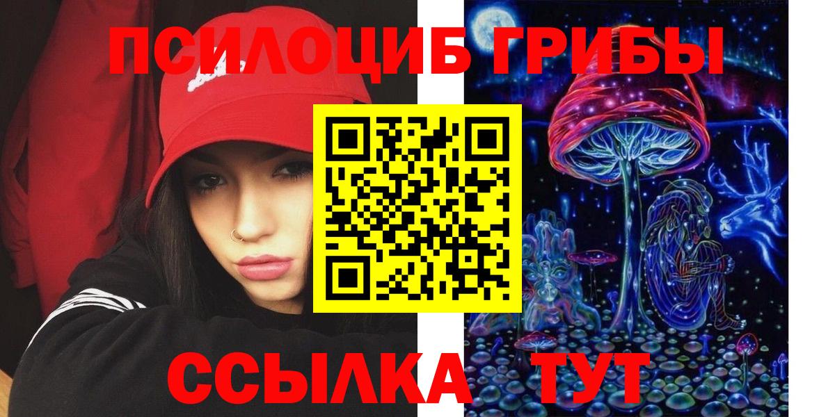 Псилоцибиновые грибы GOLDEN TEACHER Губаха