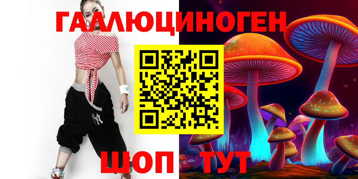 Псилоцибиновые грибы Psilocybe  Губаха 